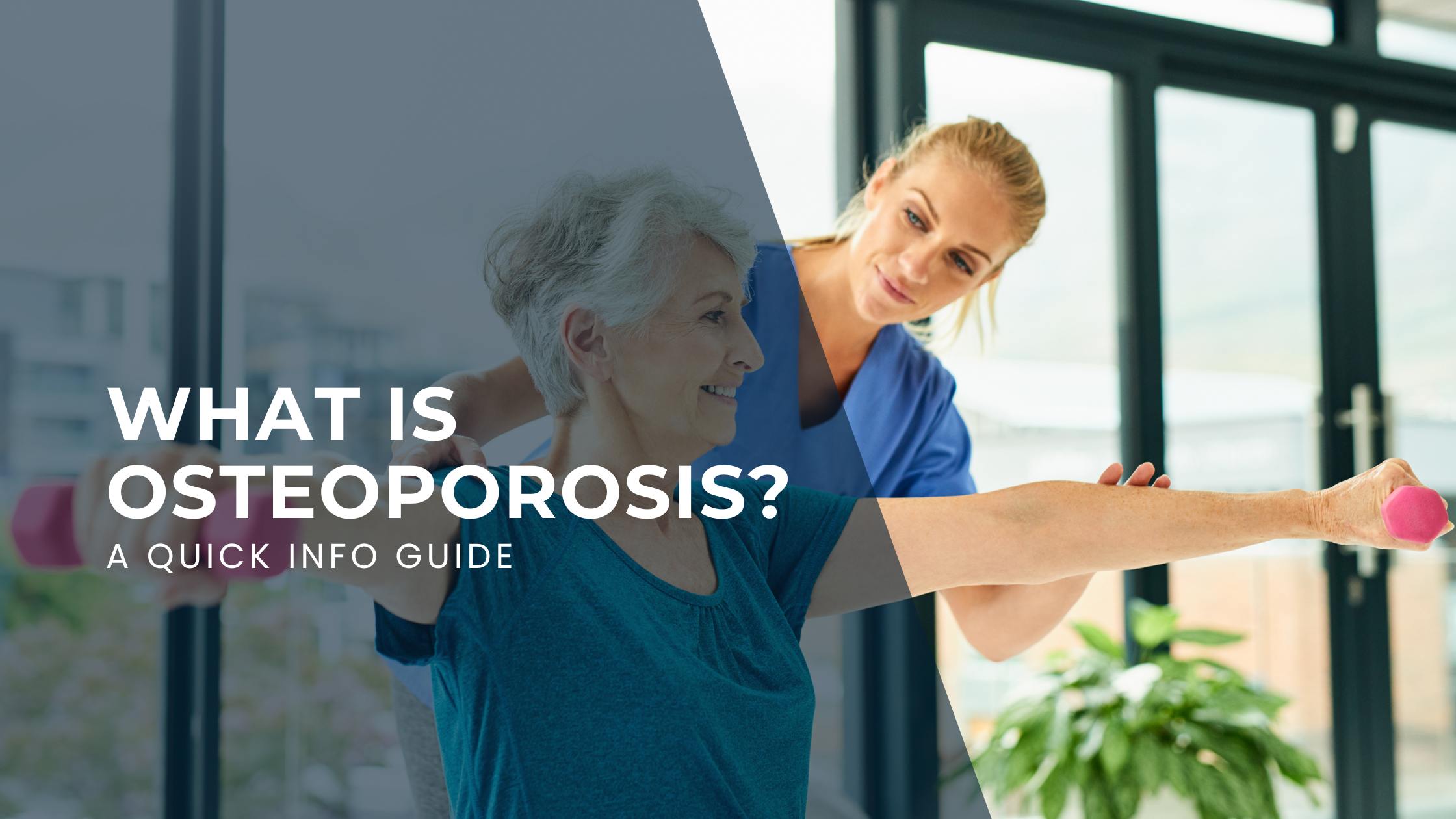 A quick guide to osteoporosis